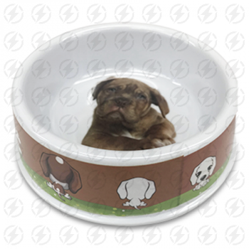 MAXCOTAS MELAMINE DOG BOWL MX-356