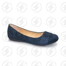 Pump Shoe