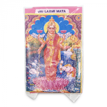 THE LITTLE STORE LAKSHMI PINK PRINTED FLAG 