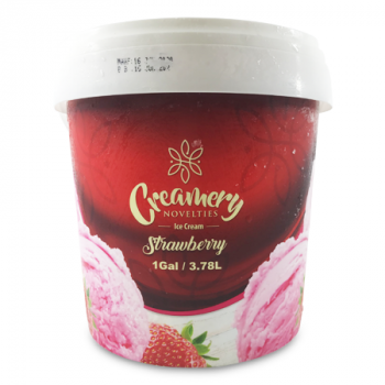 CREAMERY NOVELTIES STRAWBERRY ICE CREAM 1GAL