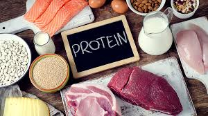 Protein