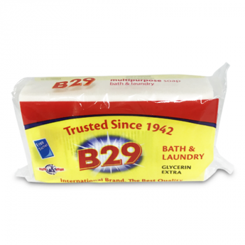 B29 SOAP 