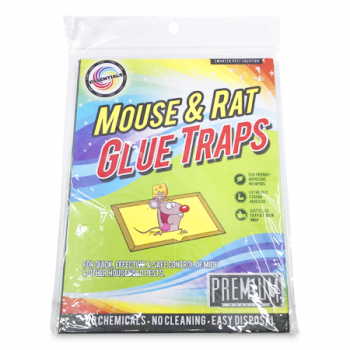 ESSENTIALS MOUSE & RAT CLUE TRAPS 